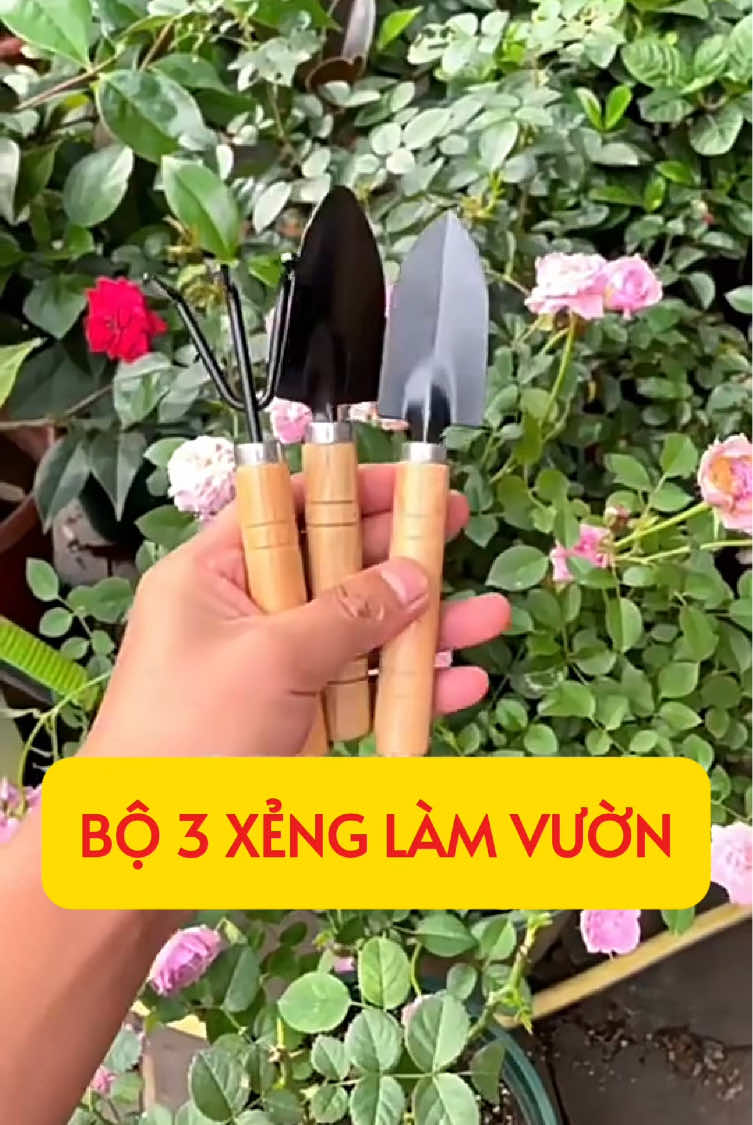Xẻng sắt mini làm vườn - xới đất - cào đất cán gỗ #nguoilamvuon #caycanh #vuabaobi #xẻng 
