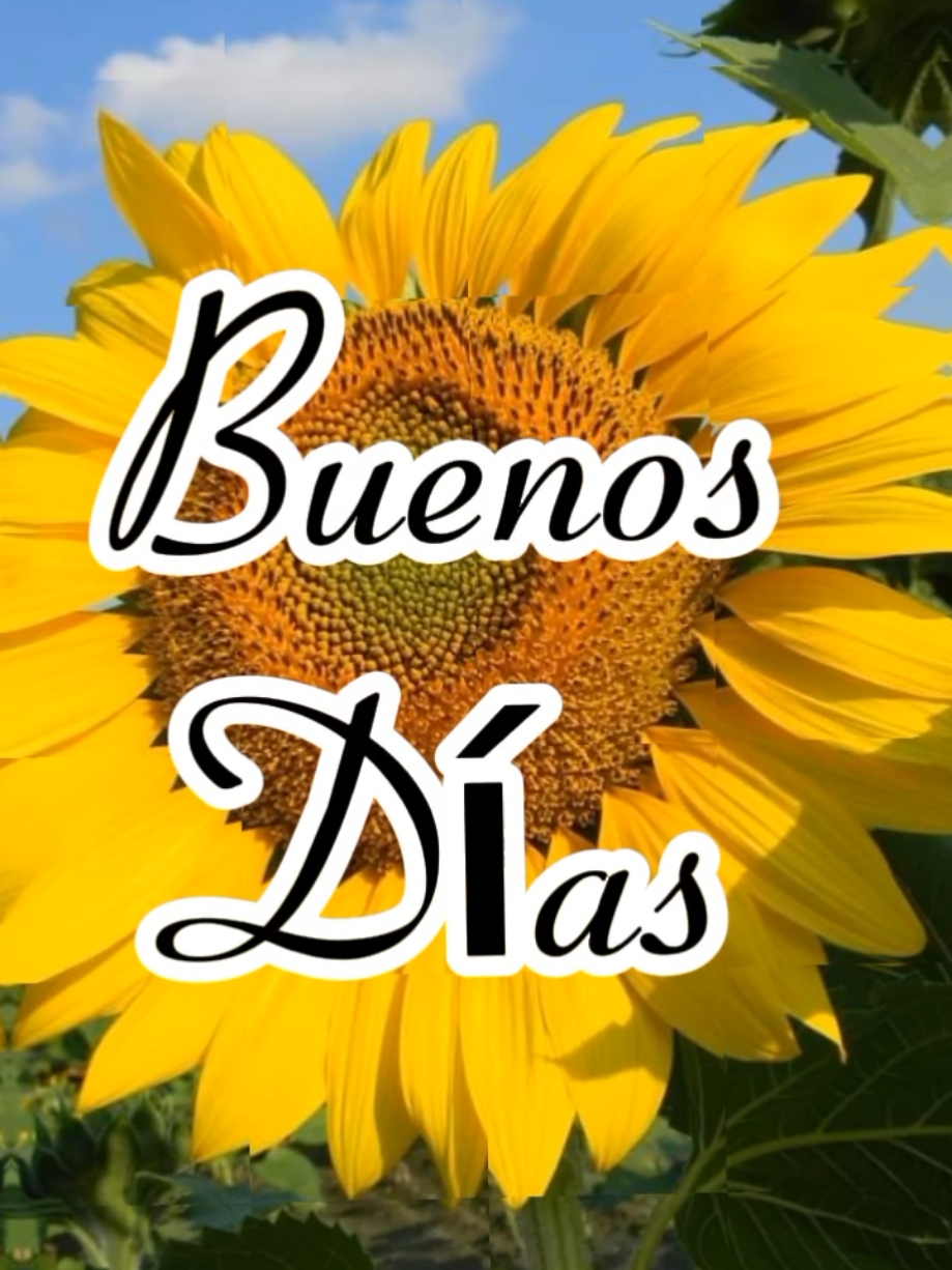 Buenos días Dios te bendiga #buenosdias #goodmorning #buendia #diostebendiga #diostebendigasiempre #godbless #blessed #blessings #ruthypc #superstars✨  #CapCut @*☆**𝑹𝒖𝒕𝒉𝒚𝒑𝒄**☆* 