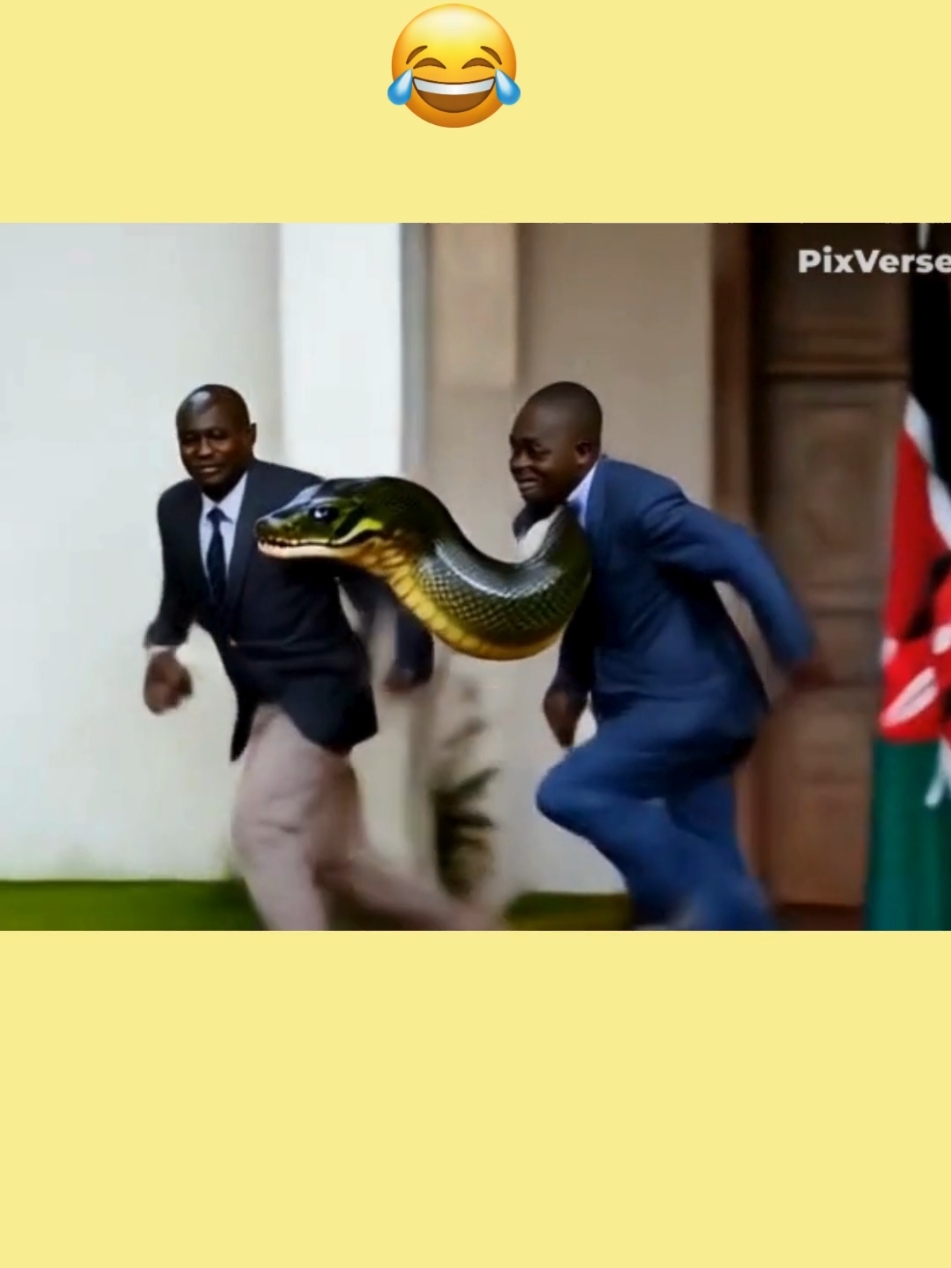 RUTO ACCIDENT, HOW HE WAS CHASED BY A SNAKE #nairobi #viral_video #fypviralシ #tiktok #politics #rutomustgo