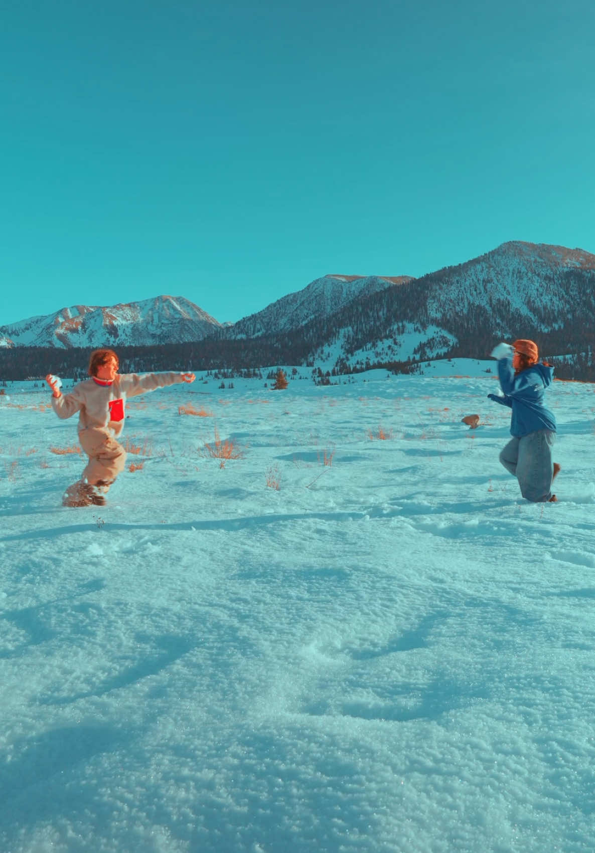 Chase me in the snow  #travel #cinematic 