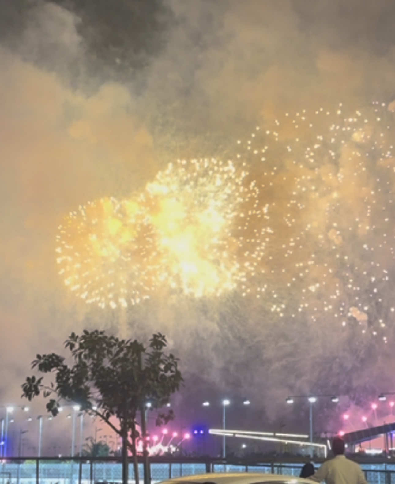 احتفالات في السعودية لكأس العالم 2034 🇸🇦❤️‍🔥❤️‍🔥❤️‍🔥 #welcometosaudi34 #كاس_العالم #جدة #الرياض #CapCut ##السعودية 