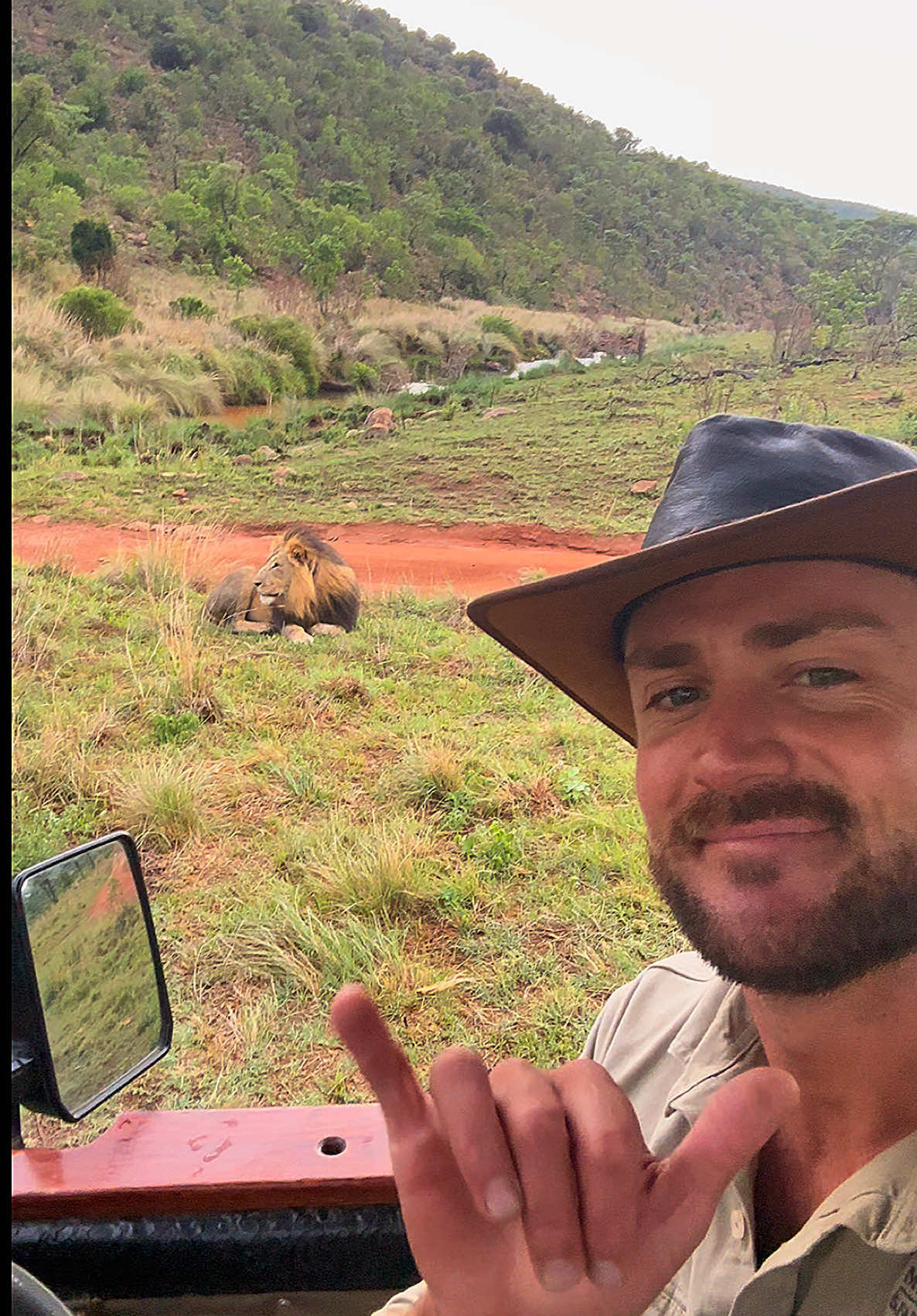 Spending time with the king 👑 #wildlife #nature #Outdoors #africa #fyp #animals #upclose #🤙🏽 #living #cat #catsoftiktok #predator #bigcat #lion 