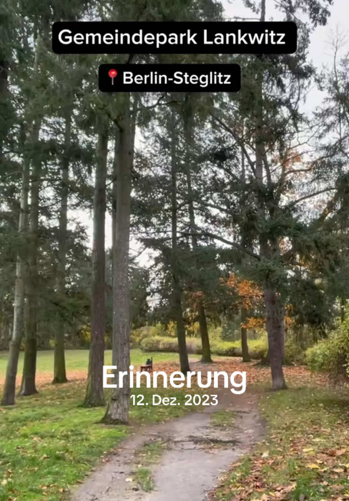 #erinnerung #natureinberlin #berlin #gemeindeparklankwitz #parkinberlin 