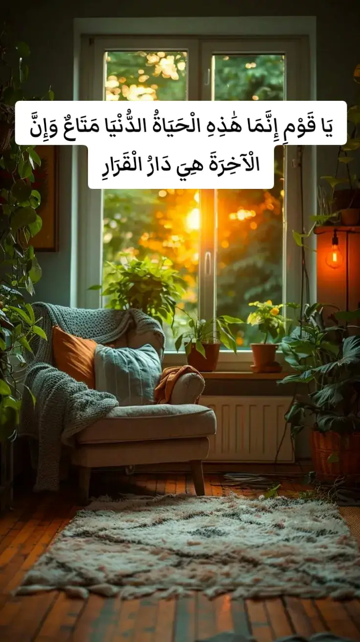 #ارح_سمعك_بالقران #راحتك_النفسية🌿🕊️ #الشيخ #محمد_صديق_المنشاوي #ارح_قلبك_وسمعك🎧📻 #القران_الكريم #حالات_واتس #تصميمي #تصميم_فيديوهات #تيك_توك 