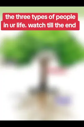 the three types of people we come across in life. the leafs may look pretty but only temporary. the trunk may seem to be long lasting but in tough times can disappear and then U got the roots. their importance may not been seen but always there for U. #motivationalquotes #people #life  #viral_video #fyp #foryou 