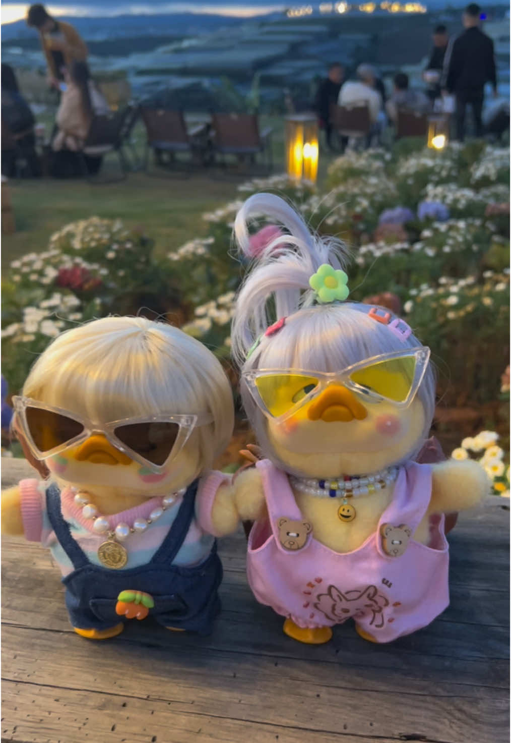 Vịt mặt quạo dễ thương , upsetduck , tóc vịt quạo trong giỏ hàng #xuhuong #xuhuongtiktok #xuhuong2024 #blindboxtoys #upsetduck #tocvitquao #vitquaoblinbox 