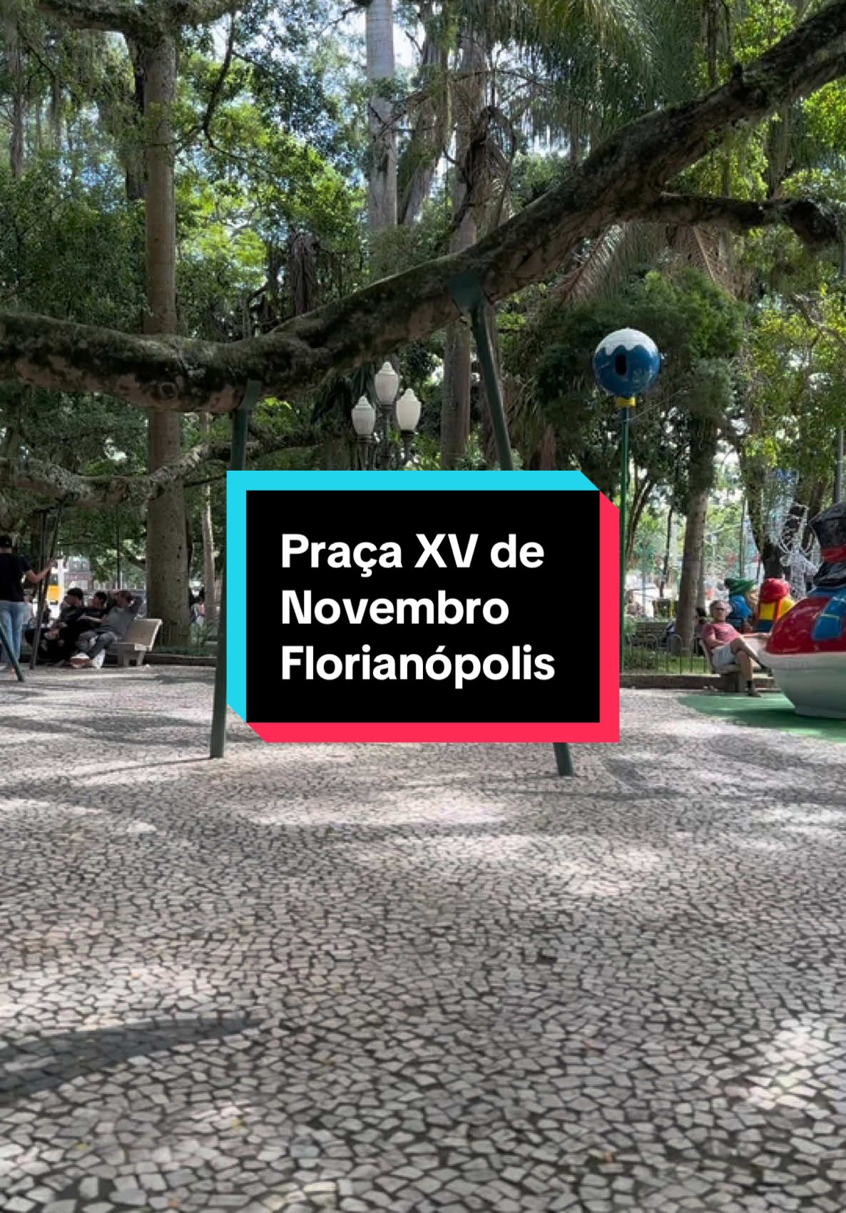 A figueira da praça XV de novembro em Florianópolis #historia #curiosidadeshistóricas #sandrinhapelomundo #viralizarnotiktok #foryou 