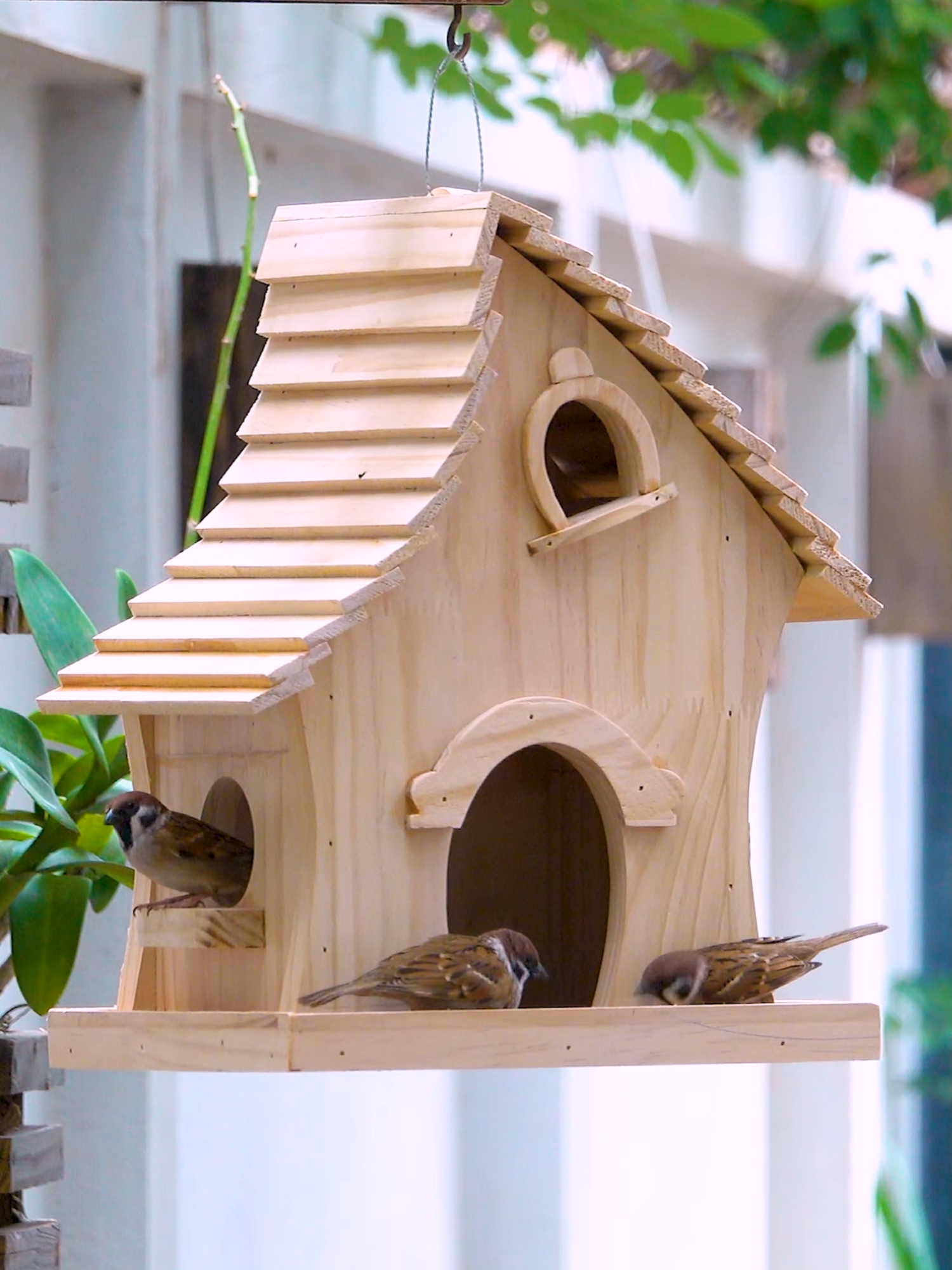 Transform your outdoor space into a haven for birds with a homemade bird feeder! In just minutes, you can craft a delightful addition to your garden that will attract a variety of feathered friends. 🌳✨ #BirdWatching #DIYProjects #EcoFriendly