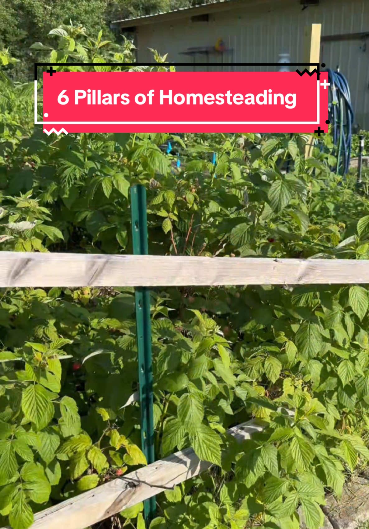 #homestead #DIY #6pillars 