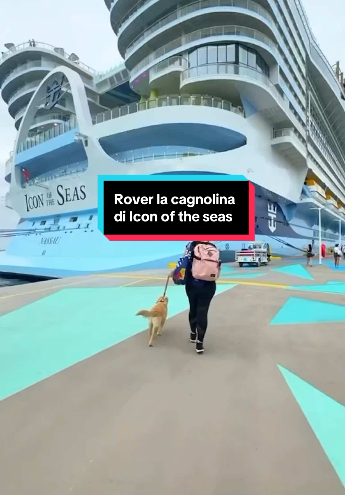 Oggi vi presento Rover, la cagnolina di Icon of the seas, che porta gioia e dolcezza sulla nave. Questa speciale Chief officier vi aspetta a bordo della nave più grande al mondo🛳️🦮 📹:@Royal Caribbean @Royal Caribbean Italia  #royalcaribbean #iconoftheseas #rover #dog #cani #goldenretriever #msc #msccruises #msccrociere #crociera #fyp 