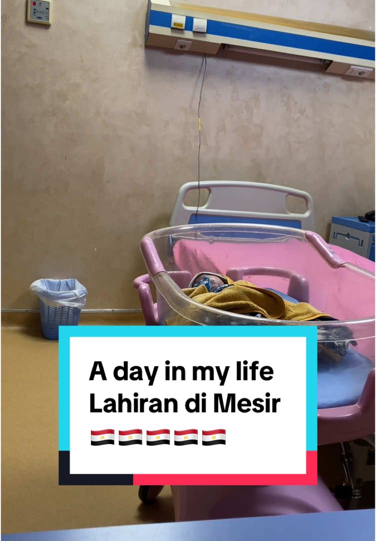 A day in my life  Lahiran di mesir 🇪🇬🇪🇬 #mesir #masisir #ldrmesir #suamimesir #pacarmesir #ldrbule #suamibule #pacarbule #suamiarab #ldrarab #pacararab #bulearab #arabmesir #cowokarab #cowokmesir #cairo #cowokegypt 