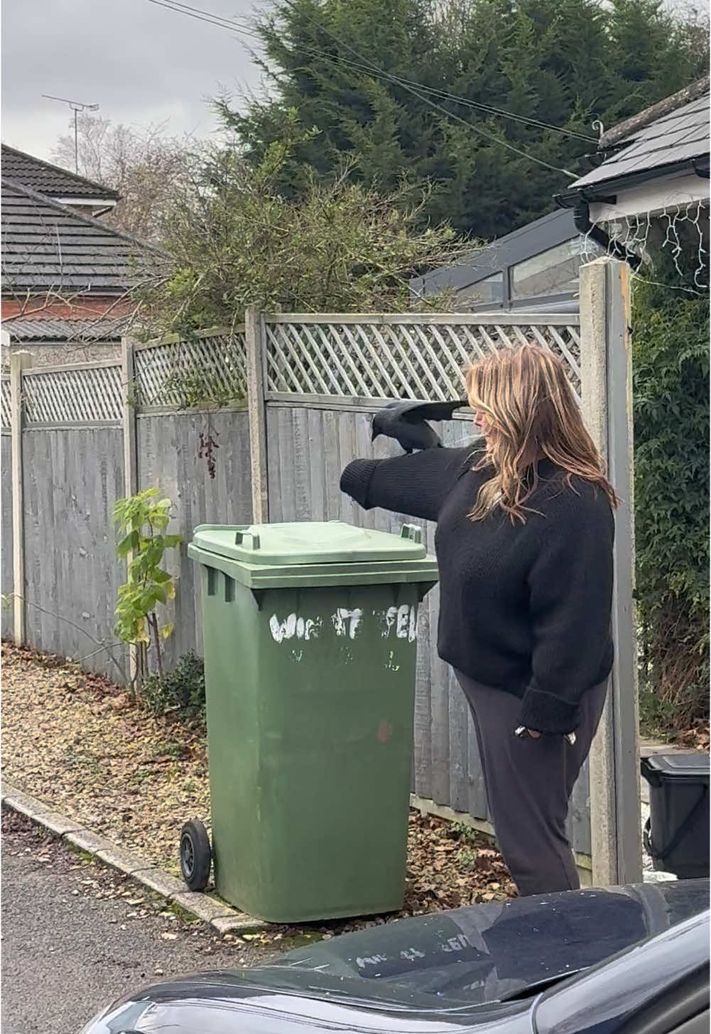 When befriending the local crow goes wrong😂 #crow #jackdaw #funny #montage #tik_tok #caughtoncamera #bird #birdsoftiktok 