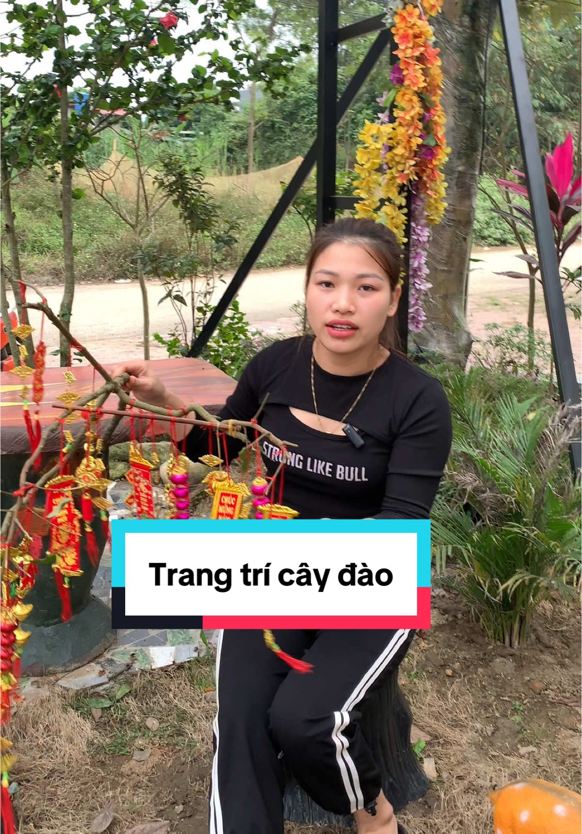 Combo 10 -20 chiếc liễn treo trang trí cành đào, cây quất nhày tết #xuhuong #trangtritet #lientreotet 