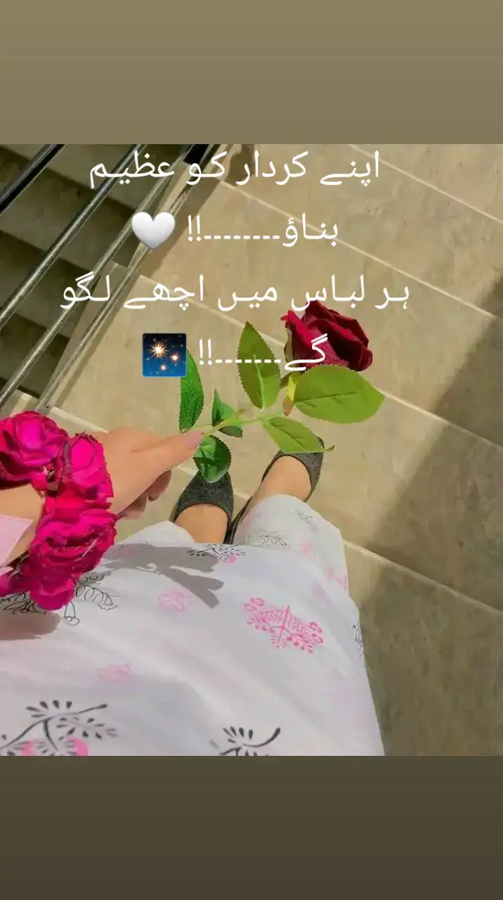 🌺♥️##songlover #punjabisong #fypviralシ #viralvideo #lovestatus #foryoupage #viralsong #whatsappstatus #unfrezzmyaccount #plzviral🥺🥺🙏🙏foryoupage #growmyaccount #foryou 