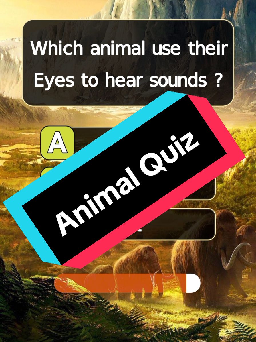 do you know❓️ #quiz #quiztime #quizz #quizzes #quizfun #quizgame #quizshow #quizchallenge #animalquiz #trivia #triviachallenge #braintest #brainteaser #generalknowledge #generalknowledgequiz #doyouknow #learn #learning #knowledge #information #viral #grow #trending #UK #USA