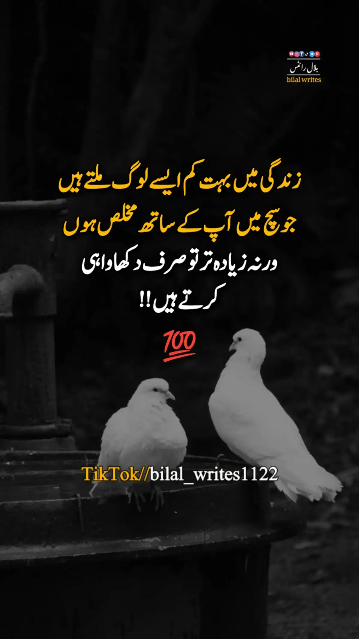 #unfreezemyacount #views #urdupoetry #100kviews #deeplines #virall #video #fypviral #typ #goviral 