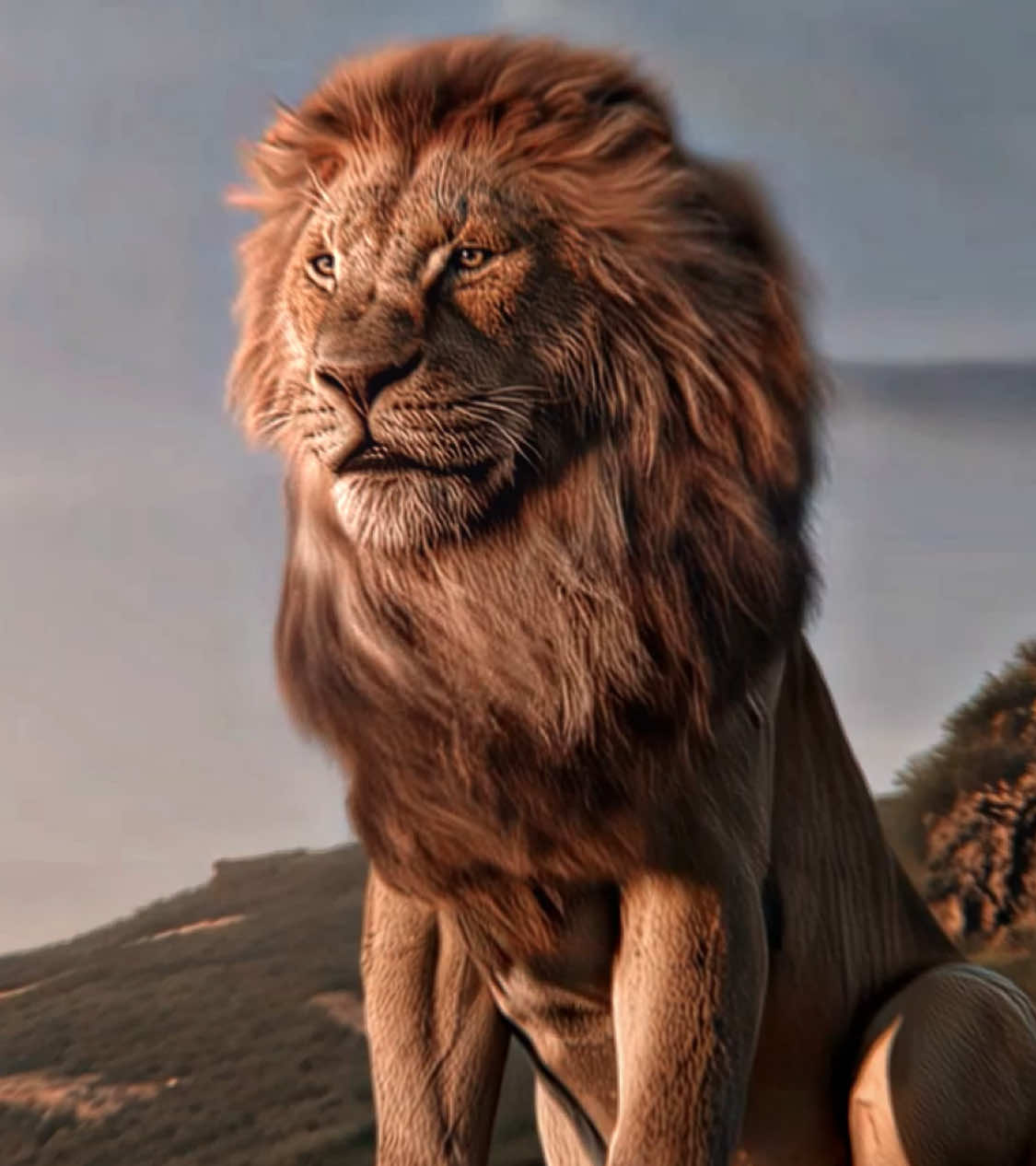 The departed king will always guide you in heaven#movie #edit #fyp #thelionking #king #lion 