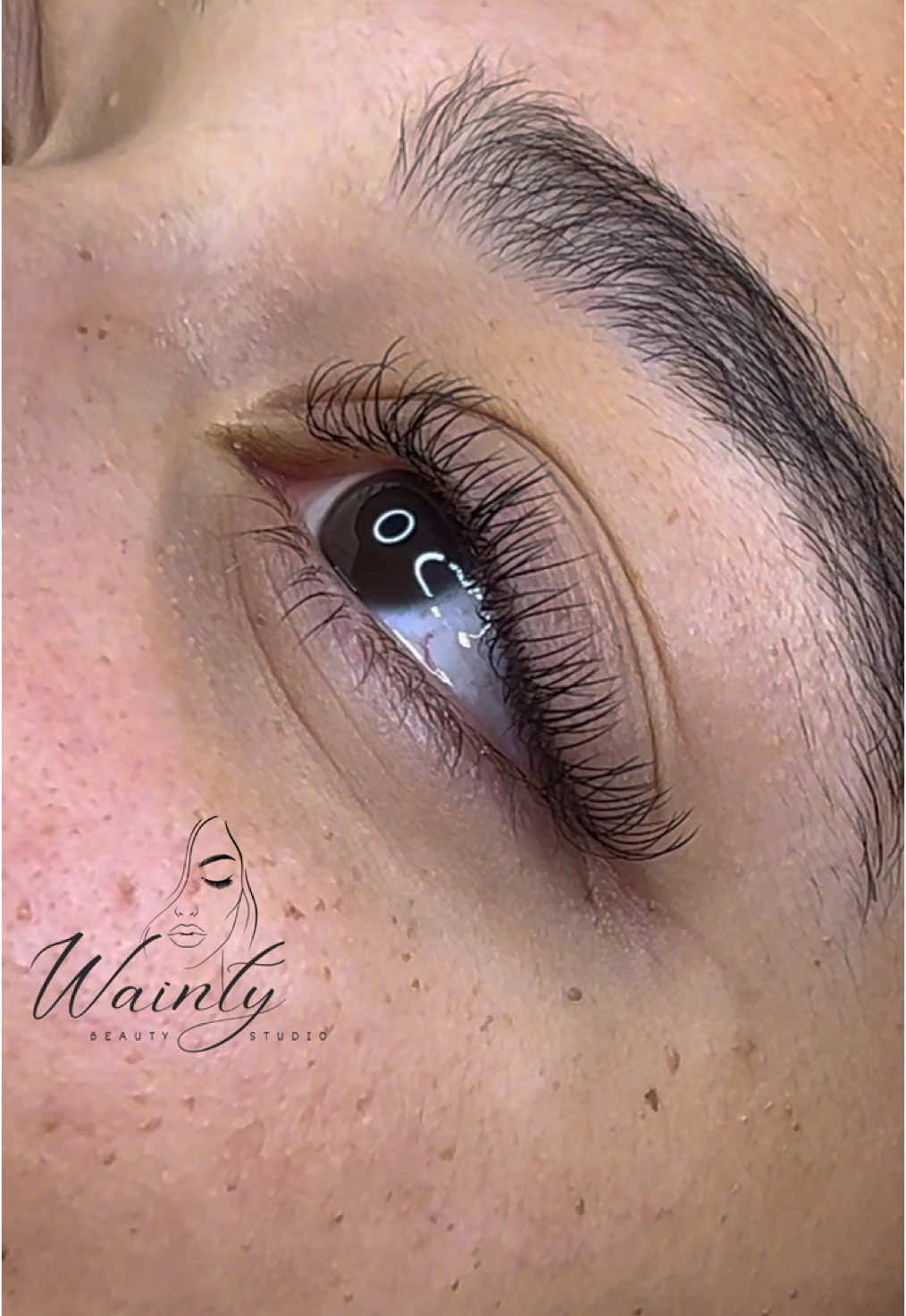 1:1 Technik  #wimpernverlängerung #wimpernextensions #lashextensions #lashes #wimpern #lashartist #wimpernstylistin #fy #fyp 