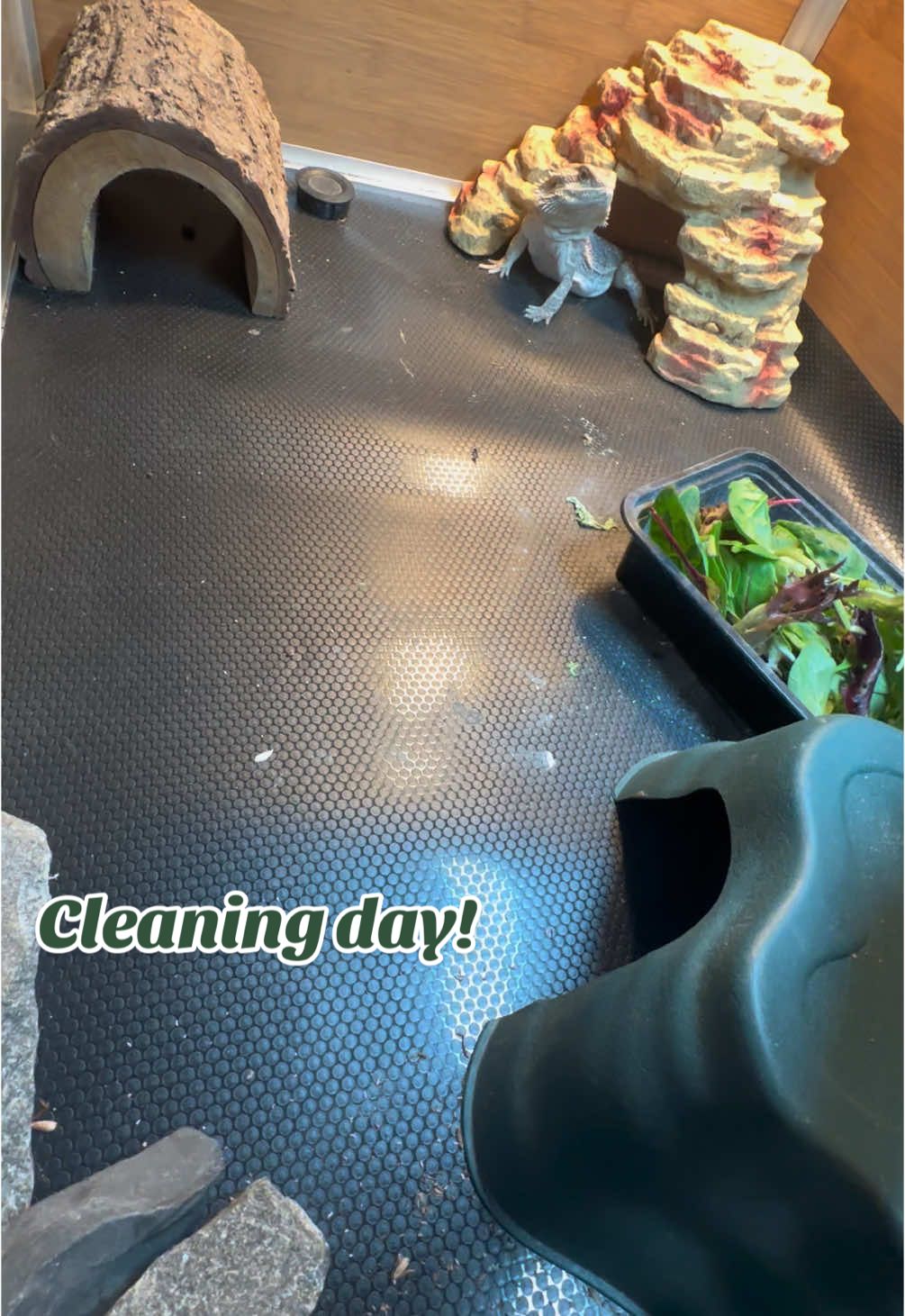 Trying to have a full cleaning day with 2 sick kiddos is not fun😅 #sick #sickseason #mom #momtok #MomsofTikTok #toddlermom #toddlertok #momvlog #momvlogger #dayinthelife #dayinmylife #dailyvlog #minivlog #momlife #sahmlife #relatablemom #relateablesahm #boymom #preschool #bigbrother #littlebrother #militaryfamily #deployment #deploymenttok #deployed  #militarykids #veteran #navy #army 