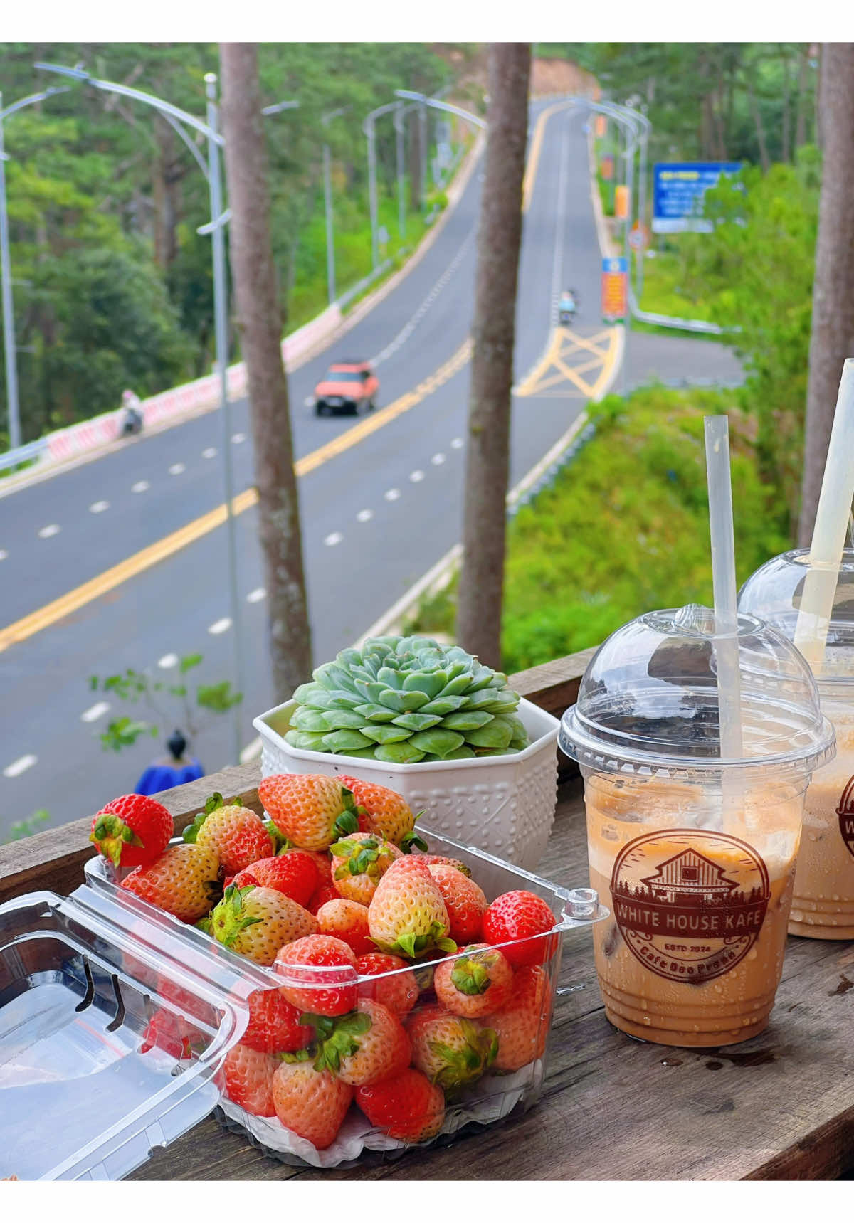 Cafe sáng tại đèo Prenn .#cafedalat #dalat #travel #chill #reviewdalat 