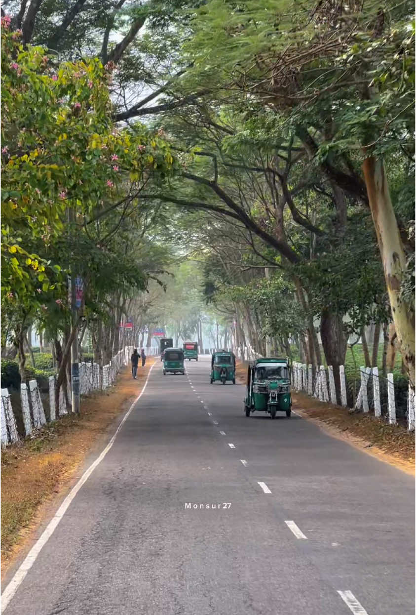 পথের ক্লান্তি সব ভুলিয়ে দেয় এই সৌন্দর্য🌿 📍শ্রীমঙ্গল