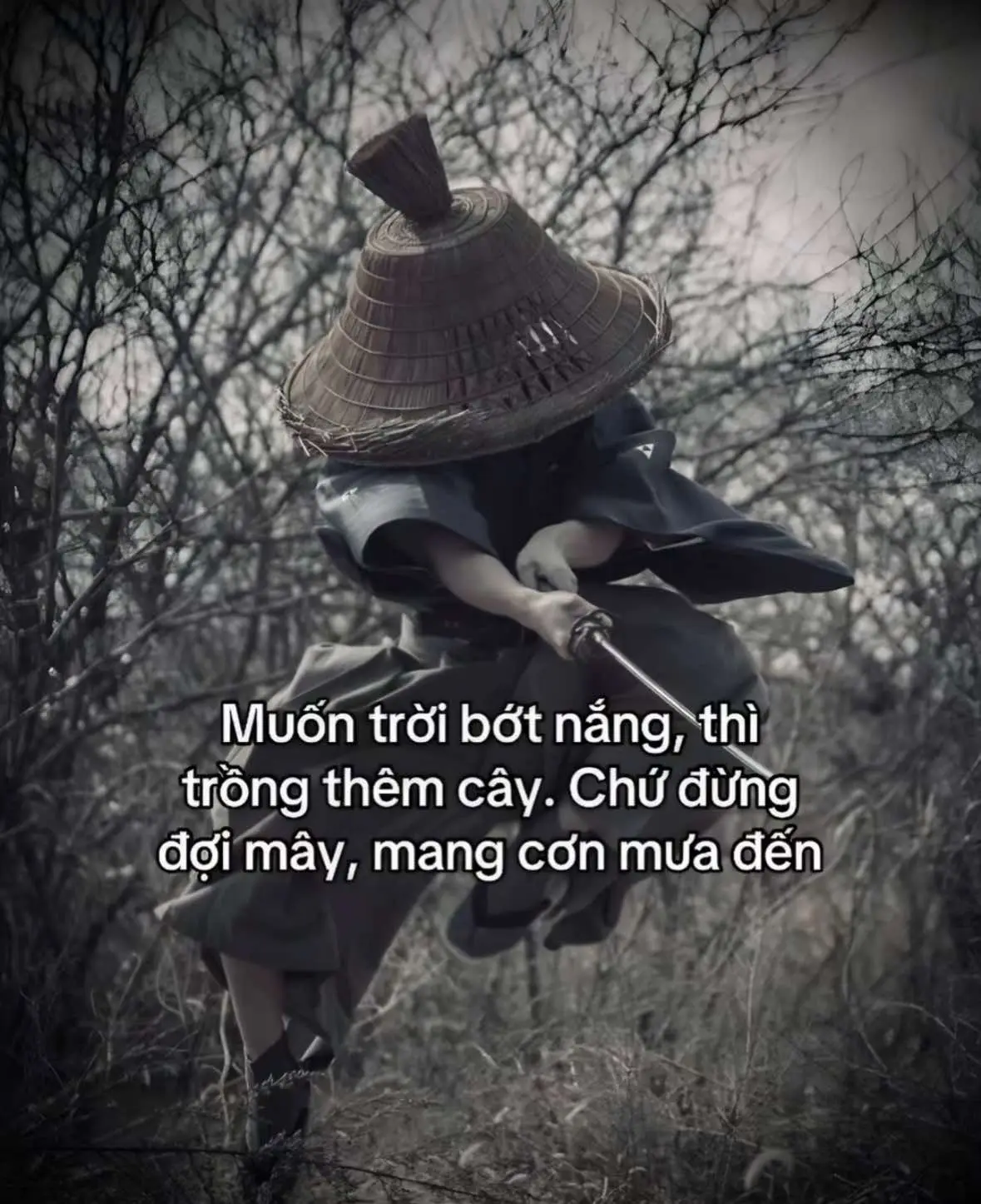 Muốn trời bớt nắng, thì trồng thêm cây. Chứ đừng đợi mây, mang cơn mưa đến!!! #xh #ndan05 