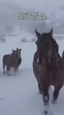 Esta semana hemos vivido el primer gran temporal de nieve, que ha dejado paisajes blancos en varios puntos de España por encima de los 700 metros 🌨 Una masa de aire ártica ha atravesado la Península Ibérica, provocando un bajón de las temperaturas #noticiasentiktok #nieve #españa