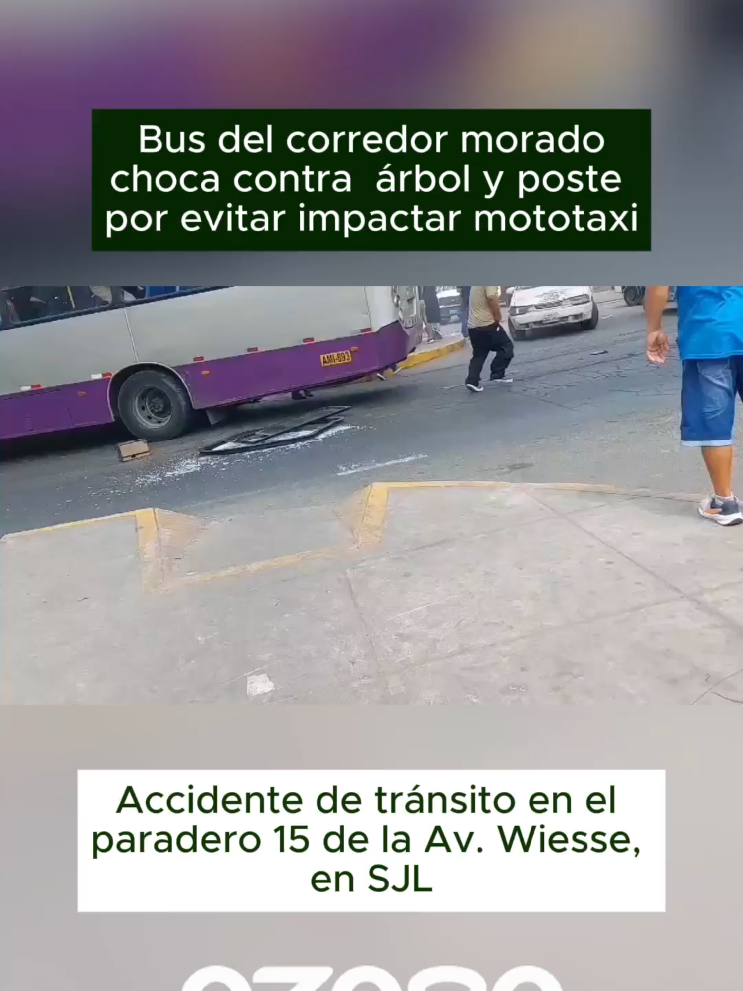 Accidente de tránsito en el paradero 15 de la Av. Wiesse, en SJL. Bus del corredor morado choca contra  árbol y poste por evitar impactar mototaxi, dicen testigos. Hay varios heridos.