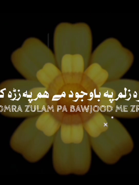 AW DE DOMRA ZULAM PA BAWJOOD HAM ✨❤️‍🩹🌸 || #fyp #foryou #foryoupage #viral #grow #1millionaudition #blackscreen #pashtopoetry #tiktokteam #viewsproblem😭 #tikokteampakistan #500k @TiktokPakistanOfficial 