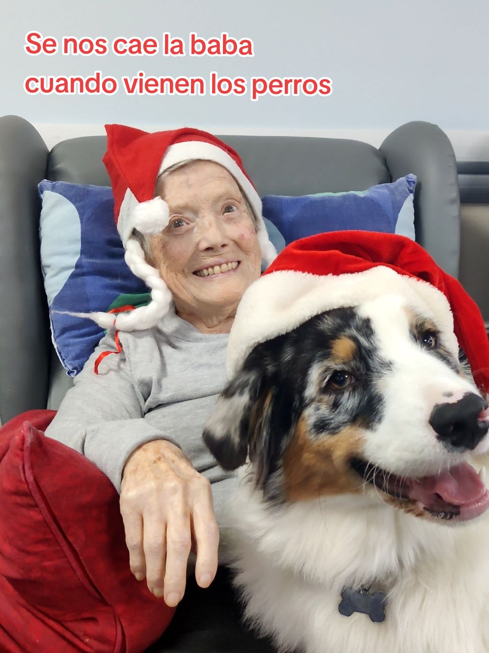 Cada vez que hay terapia canina, es un momento perfecto.  #barcelona #fyp #gente #perros #navidad #beso @itacan 