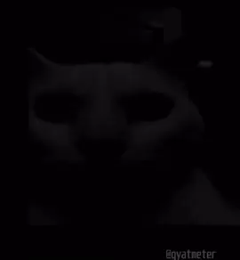 #scarystories #cat #scary #meme #memes #brainrot #funnyvideo #foryoupage #foryou #fyp 