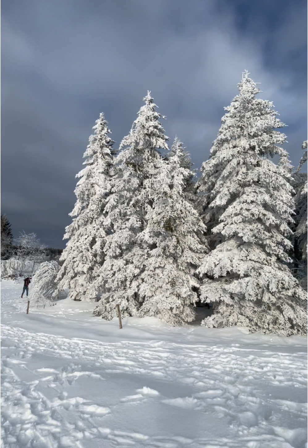 #zima #Schwarzwald#Schnee#Schauinsland