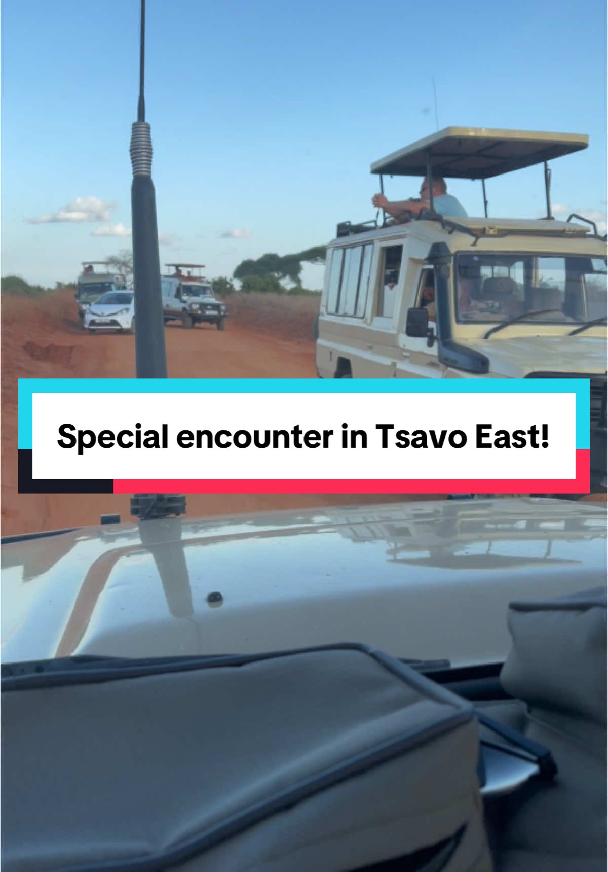 Special encounters in Tsavo East😍😎 Book your safari with us today; 📞 +(254) 780 269 465 | (+254) 112 305 890 📧 sales@milanatours.com 🌐 milanatours.com #explore #discoverplaces #africansafari #wildlifesafari #adventure #wanderlust #wildlifephotography #traveltoexplore #luxurysafari #traveltheworld #wondefulplaces #destinationtravel #travelgoals #travel #magicalkenya #tembeakenya #girlswhotravel #kenya #luxurysafari #tripadvisor #lakenaivasha #beautifuldestinations #gamedrive #kenyasafari #milanatours #bucketlist #travelafrica #explore #discoverplaces #africansafari #wildlifesafari #adventure #wanderlust #milanasafari #traveltoexplore  #traveltheworld #safarilife #wondefulplaces #destinationtravel #safarikenya #magicalkenya #tembeakenya #girlswhotravel #kenya #masaimara #beautifuldestinations #travelgoals #travel #traveltoexplore #gamedrive #kenyasafari #milanatours #bucketlist #travelafrica #safari #traveldestination #maasai #trip #tourfyp #touristattraction #fyp #tiktok #tiktokfyp #tiktokforyou #tiktokerfyp #tiktokersforyou #foryoutiktok #foryoutiktokers #wanderlust #fypwanderlust #nairobi #nairobians #nairobitiktok #nairobitiktokers #kenyatiktok #tiktokkenya #kenyatiktokers #safaritiktokers #willypaul #thisloveispersonalwillypaul #germany #india #nigeria #china #usa #kenyans #southafrica #afrosong #afrosongs #amapiano #amapianosouthafrica #trending #trendingtiktok #trendingtiktokers #tiktoktrend #tiktoktrending #nakuru #nakurucity #nakurutiktok #nakurutiktokers #amboseli #amboselisafari #safarikenyatrip #mombasatiktok #mombasatiktokers #rnb #afrofusion #ololufemi #ololufe #maasaimara #kenyatrips #kenyatours #tsavoeast #tsavo #tsavomaneaters #tsavoeastnationalpark #voiwildlifelodge #voi #mtitoandei #wadawida #taita #wataita #maasais