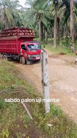 mental kuat jantung dan kaki gemetar#dreversawitkaltim#fyppppppppppppppppppppppp #drevermudapunyacerita🤙🤙 #gacorrr🔥 