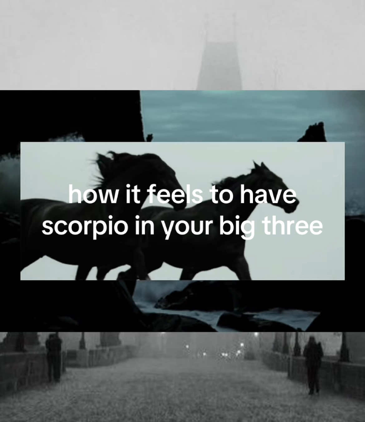 we are the best #scorpio #scorpiorising #scopriomoon #darkaesthetic #fyp #lilith #foryou 