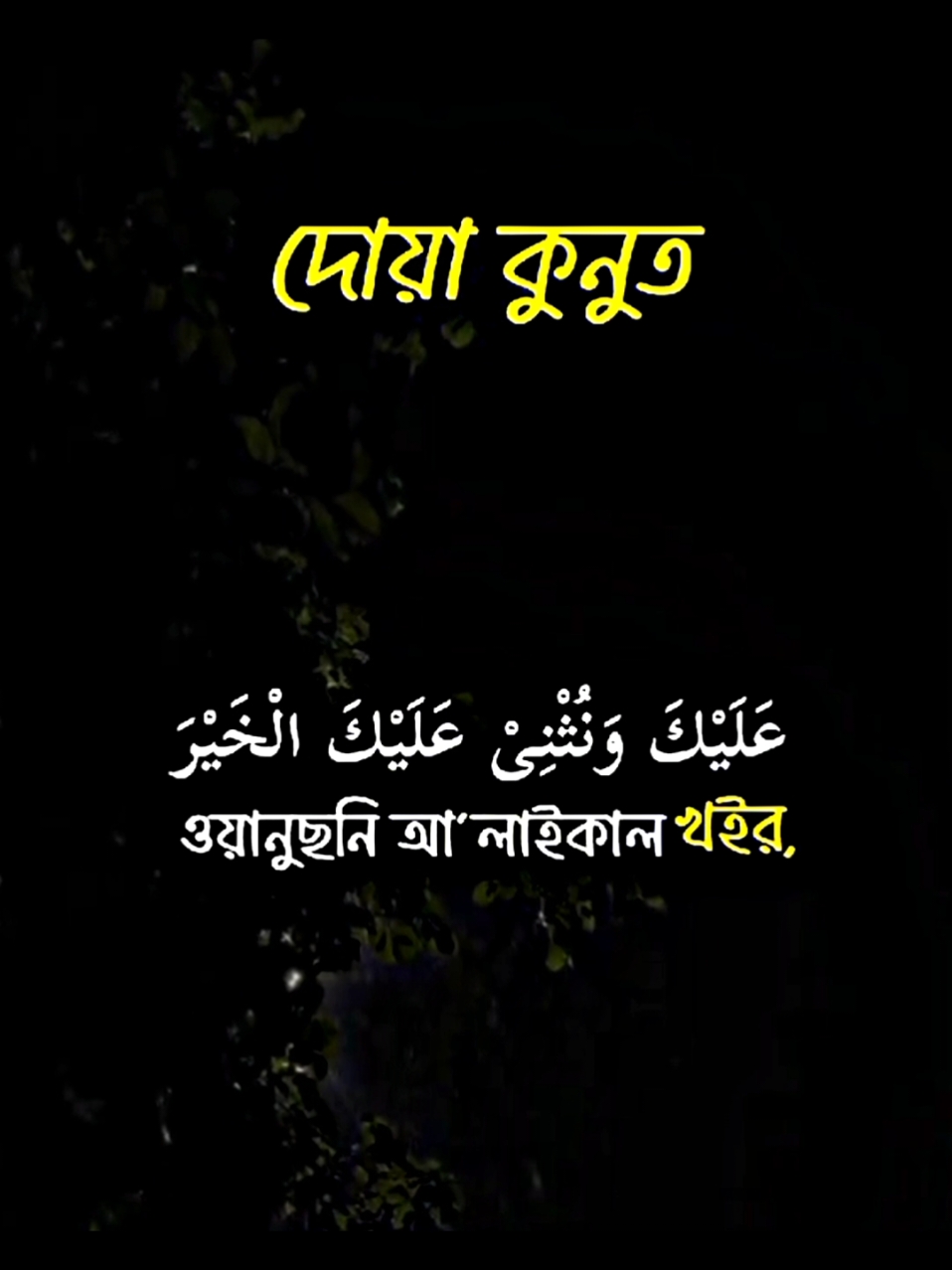 #দোয়া_কুনুত #কুরআন_তেলাওয়াত #ভালো_লাগলে_সবাই_লাইক_কমেন্ট_শিয়ার_ #foryou #fypシ #tiktok #PepsiKickOffShow #foryoupageofficially #trending #حلاوة_اللقاء #viral 