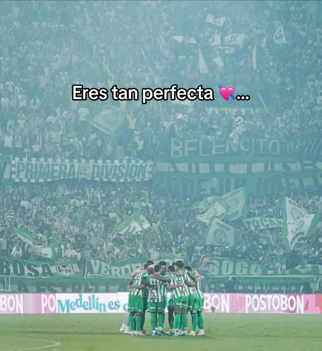 Vamos @Atlético Nacional #atleticonacional #paratiiiiiiiiiiiiiiiiiiiiiiiiiiiiiii #fyp #hinchada 