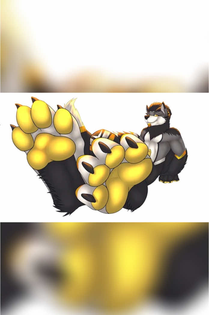 Adorable Furry paws   ##community##Friend##member##followers##furrycommunity##furrycommunity❤##furry##cute##paw##feet