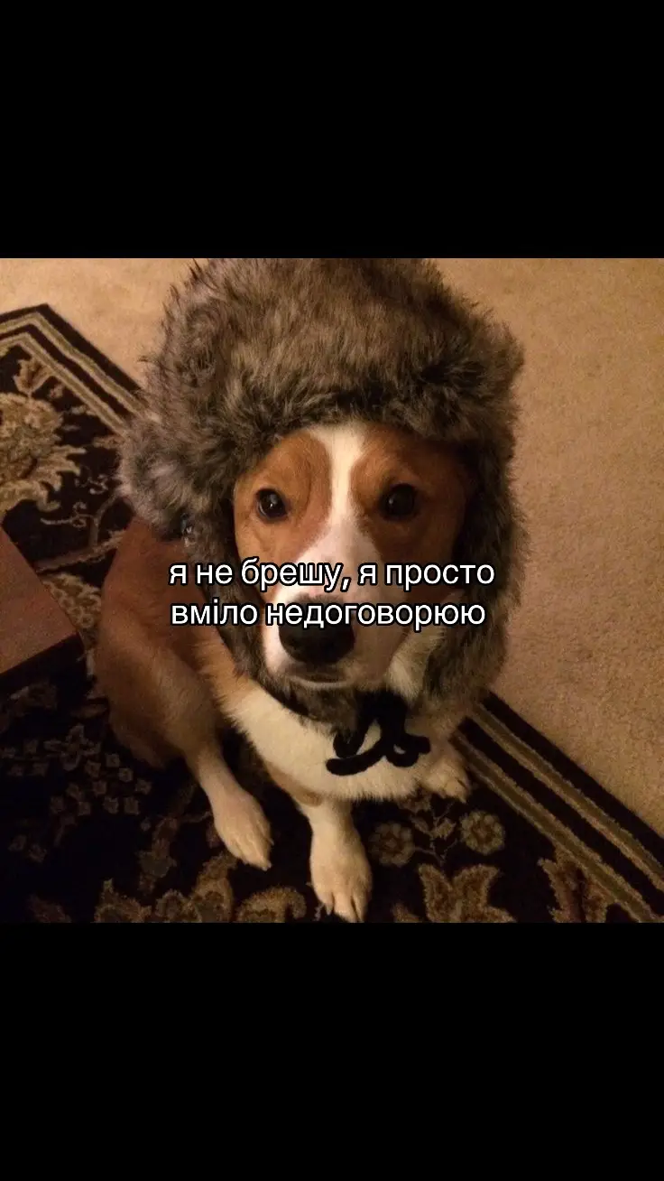 #щитпост 