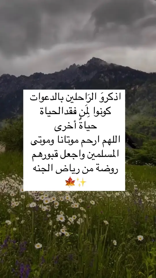 #اكسبلور #قرآن #اذكار #دعاء #الوتر #الاستغفار #ذكر #الصلاه_الابراهيميه 