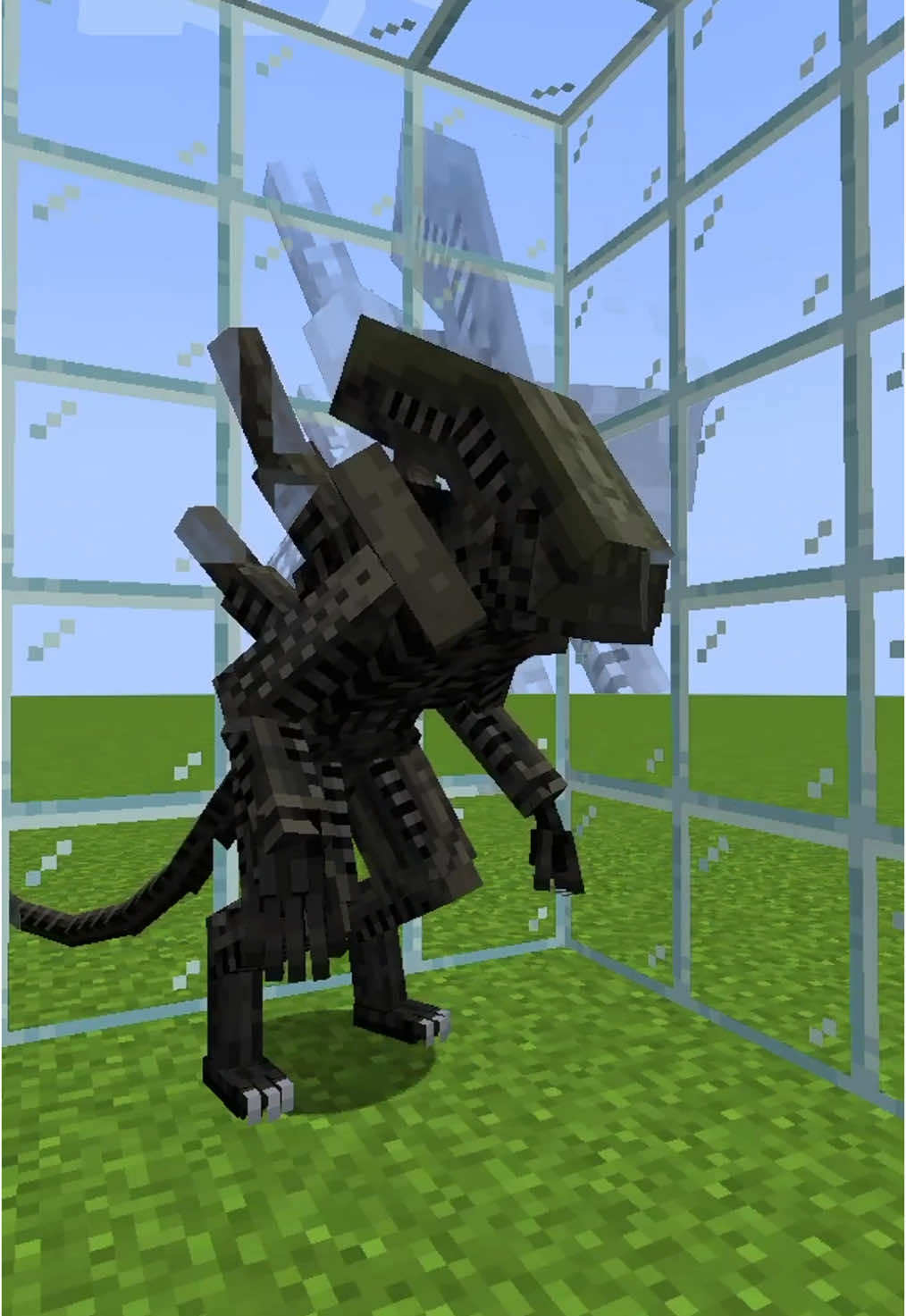 Evolution of a Xenomorph alien vs predator #Minecraft #foryou #vxybca#yxzcba #xyzoca #mods #horror 