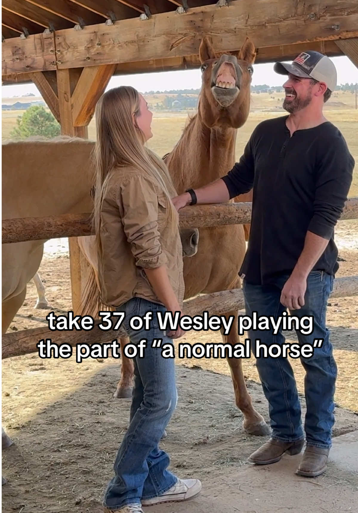 A company wanted to film a commercial with my horse, Wesley. They needed him to play the part of “normal horse.” This is Wesley’s 37th take. 😂🐴 via Amanda Enloe 