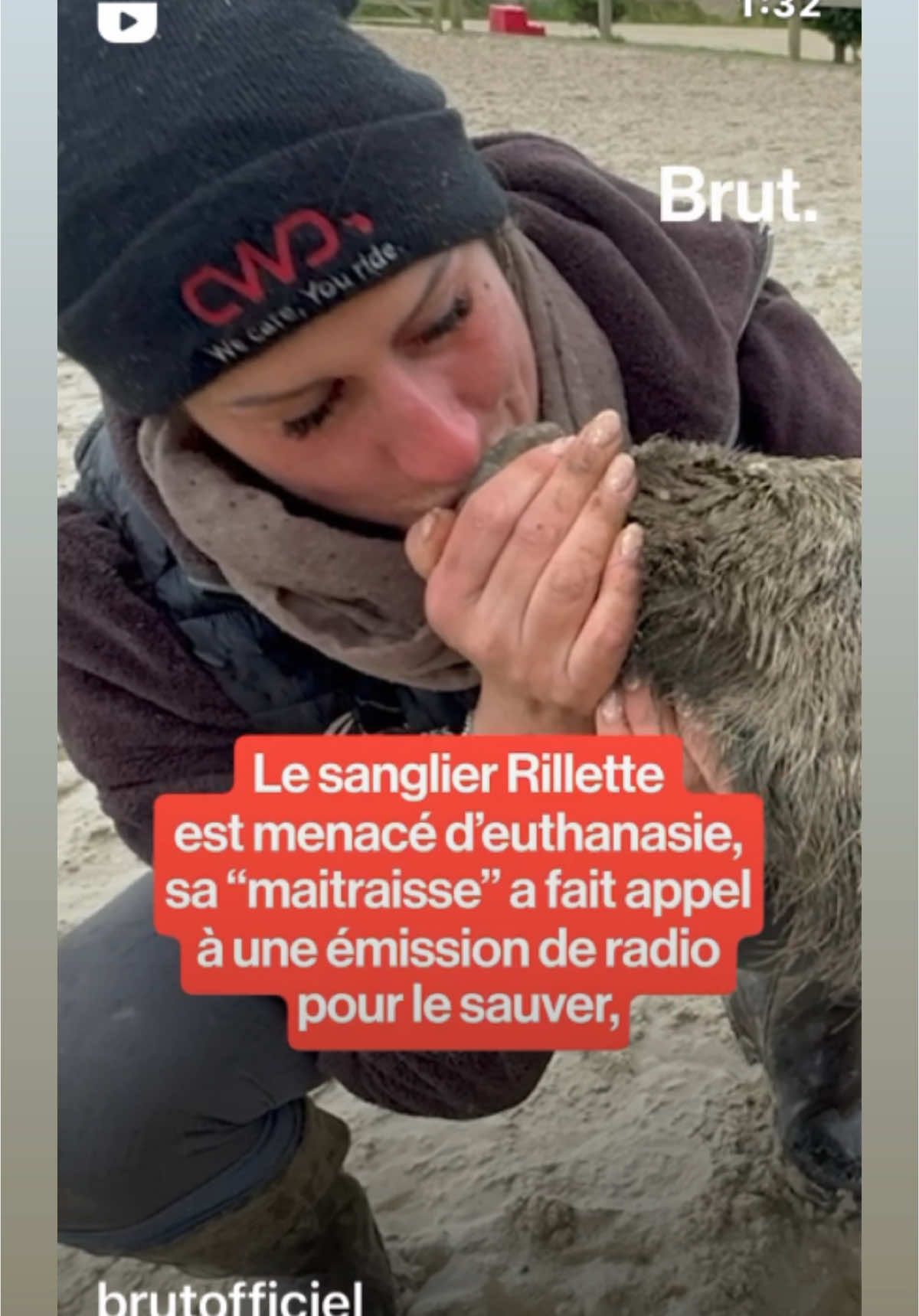 #rillette #sos #lololeblogfamily  Signez la pétition (https://www.change.org/p/sauvez-notre-laie-sanglier-de-chaouce-mascotte-en-danger)  #PetsOfTikTok #foryou #lololeblog #animallover #pourtoi 