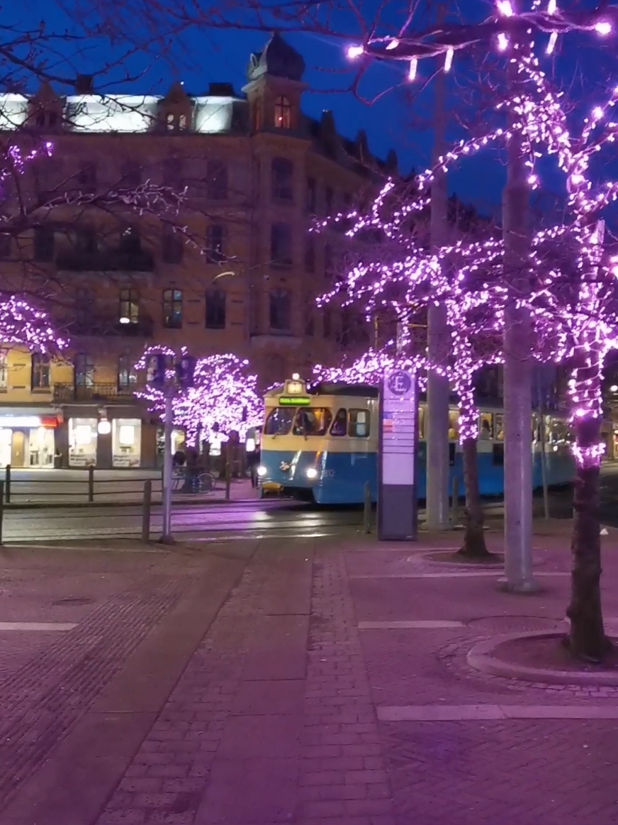 Järntorget! På våren blommar körsbärsträden och på vintern lyser lila lampor. Fler tips på instagram. Länk i profil. #järntorget #göteborg #västsverige #visitsweden #sverige #christmaslights 