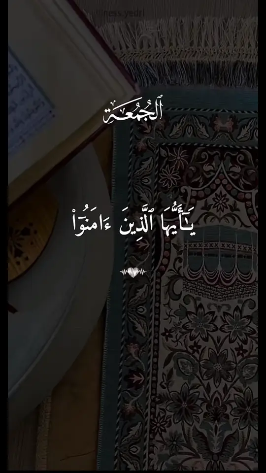 يــٰأيها الذين ءامنوا ❤️🤍#يوم_الجمعه #الجمعه #قران #ماهرالمعيقلي 