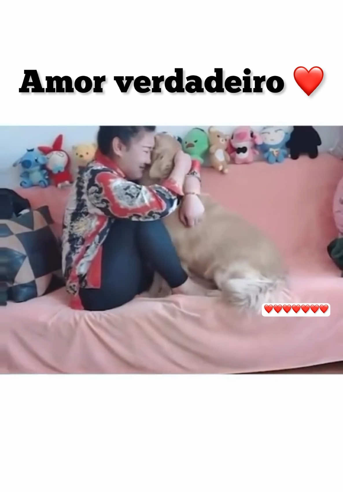 Eles só querem ser amados 🥰 #vida #life #animais #aninal #animals #momentos #moments #videosparadedicar #videosparastatus #emocionante #reflexão #reflexion #reflexiones #amor #Love #cachorro #dog #pessoas #people #mundo #world #superacion #superacao #superação 