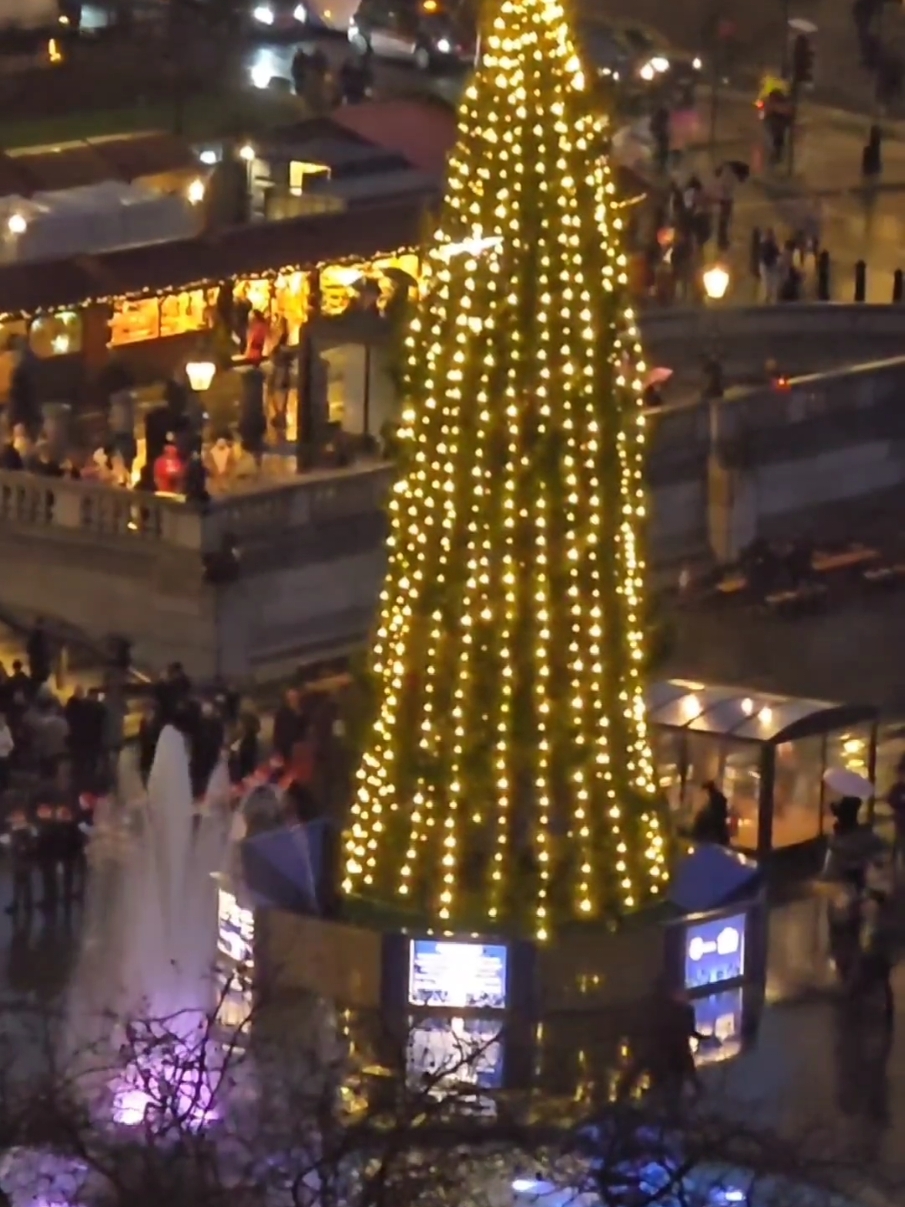 Trafalgar square christmas tree cactus #christmastree #cactus #trafalgarsquare #london #rooftop #londonatnight 