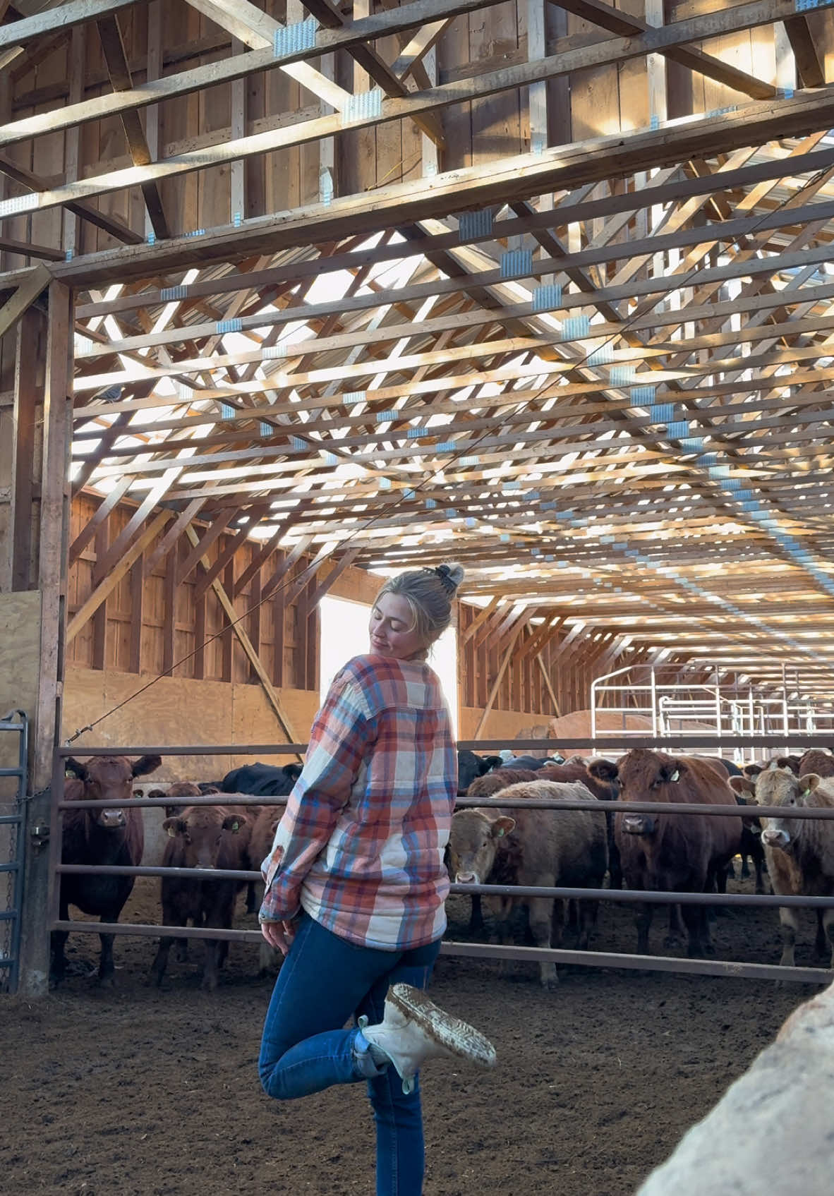 Moe bandy is hands down my favorite country singer of all time. Love having the girls home #farmersdaughter #fyp #maine #moebandy #country #cows 