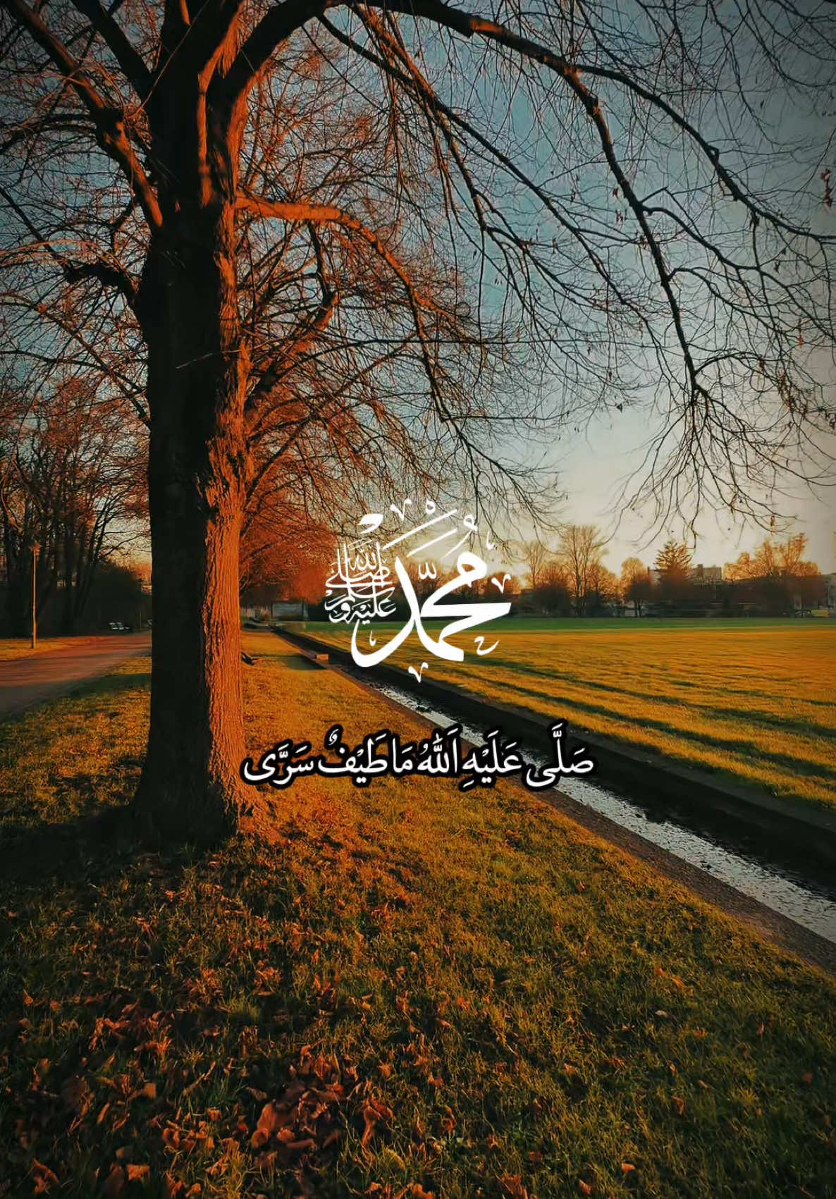 ابدؤوا ليلة الجمعة بالصلاة على النبي ✨🤍 . . عليه أفضل الصلاة والسلام ♥️ . . .#يوم_الجمعه #ليلة_الجمعة #الجمعة #صلوا_على_رسول_الله #عليه_افضل_الصلاه_والسلام #اللهم_صلي_على_نبينا_محمد #الصلاة_والسلام_عليك_ياحبيبي_يارسول_الله #رسول_الله_صلى_الله_عليه_وسلم #اكسبلور #explore #fyp #اكسبلوررررر #اللهم_لك_الحمد_ولك_الشكر #السعودية #الجزائر #تركيا 