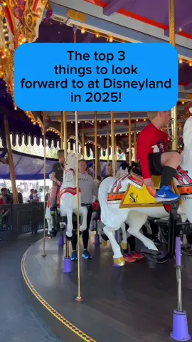 These are the top 3 things to look forward to at Disneyland in 2025, new and upcoming! • If you want to see all of this for yourself, consider booking a trip with our friends at Be Our Guest Vacations! • Visit WDWNT.Travel to learn more! • #disneyland #disneyparks #disneylandresort #disney #disneycaliforniaadventure #disneymerchandise #tianasbayouadventure #hauntedmansion #waltdisney #animatronic #vacation 